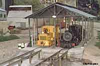 Link to display diesel and steam locos at loco shed