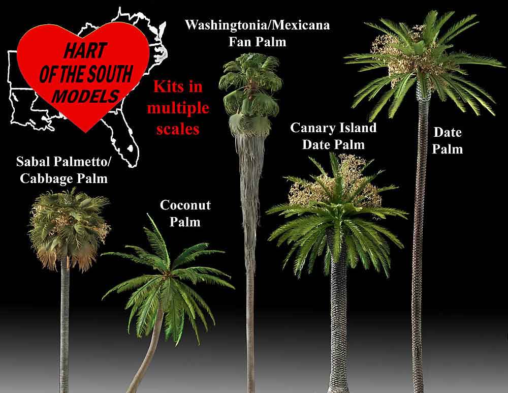 Palm Trees