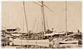 Link to Colonia Occampo, Argentina. Rolando Maggi Collection