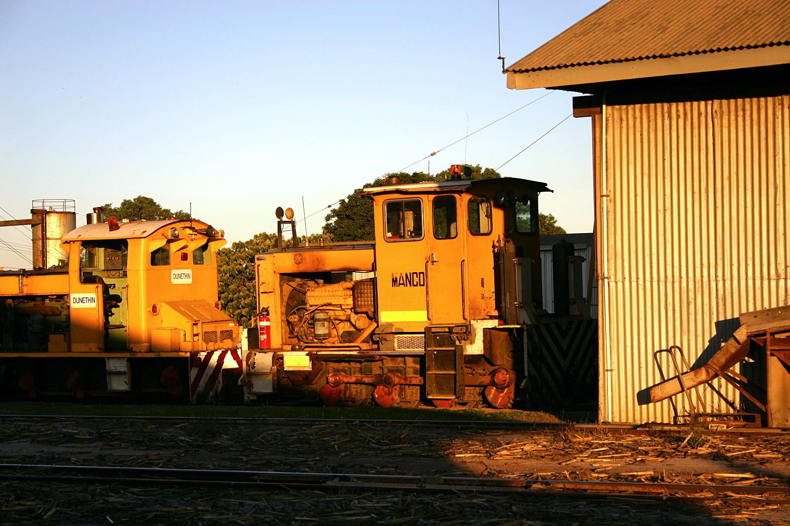 Chadwick Collection