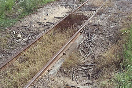 Log supporting track