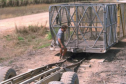 Moving the bin