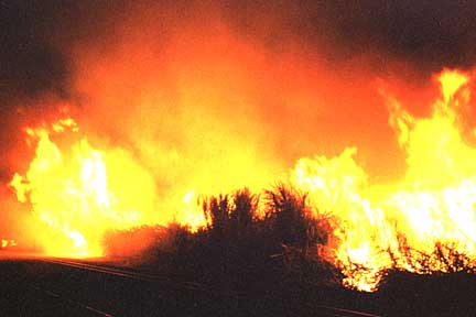 Fire in canefield