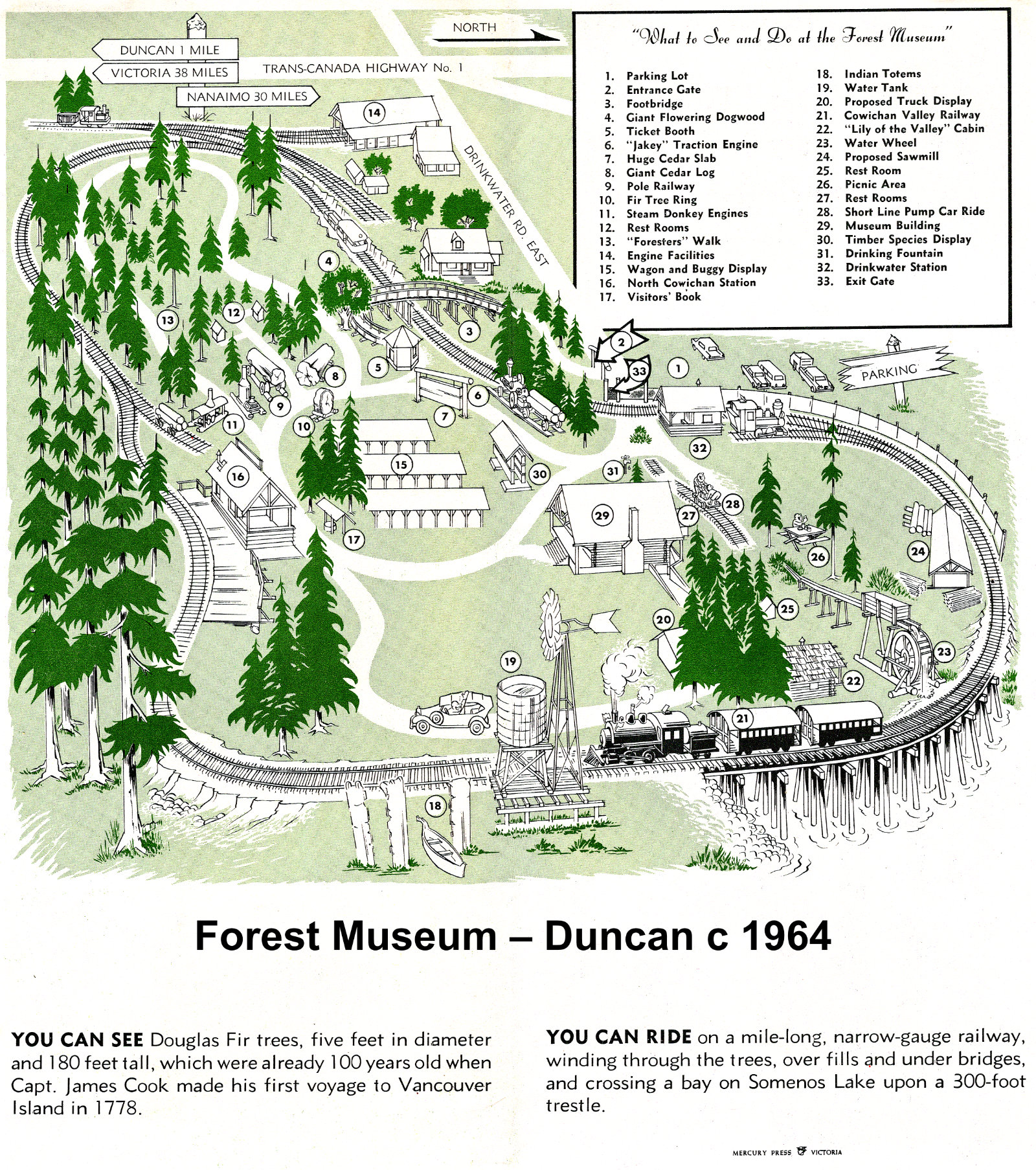 Forest Museum Map