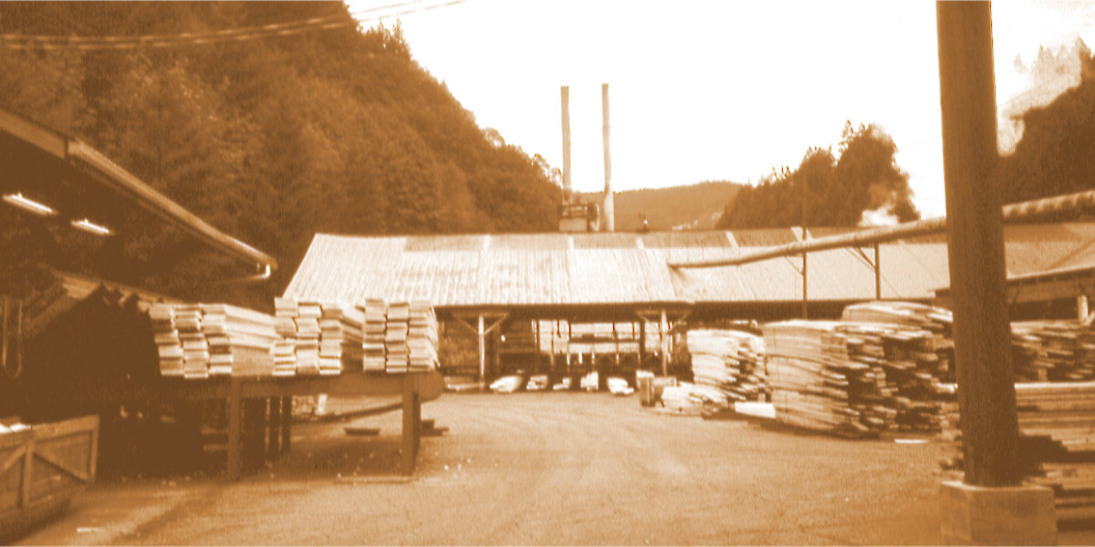 Hull-Oakes overview